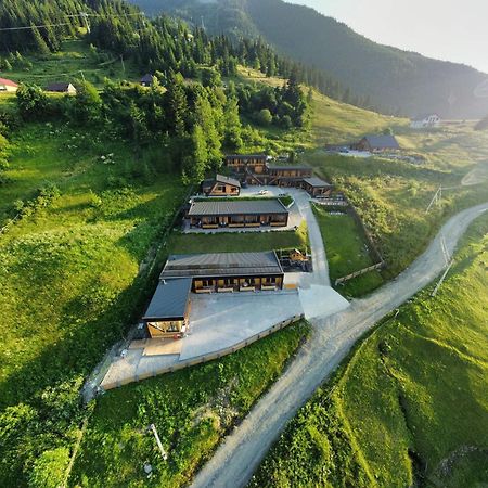 Panoramic Residence Borşa Екстериор снимка