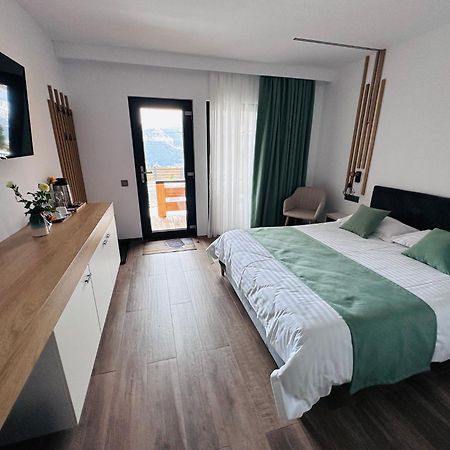 Panoramic Residence Borşa Екстериор снимка