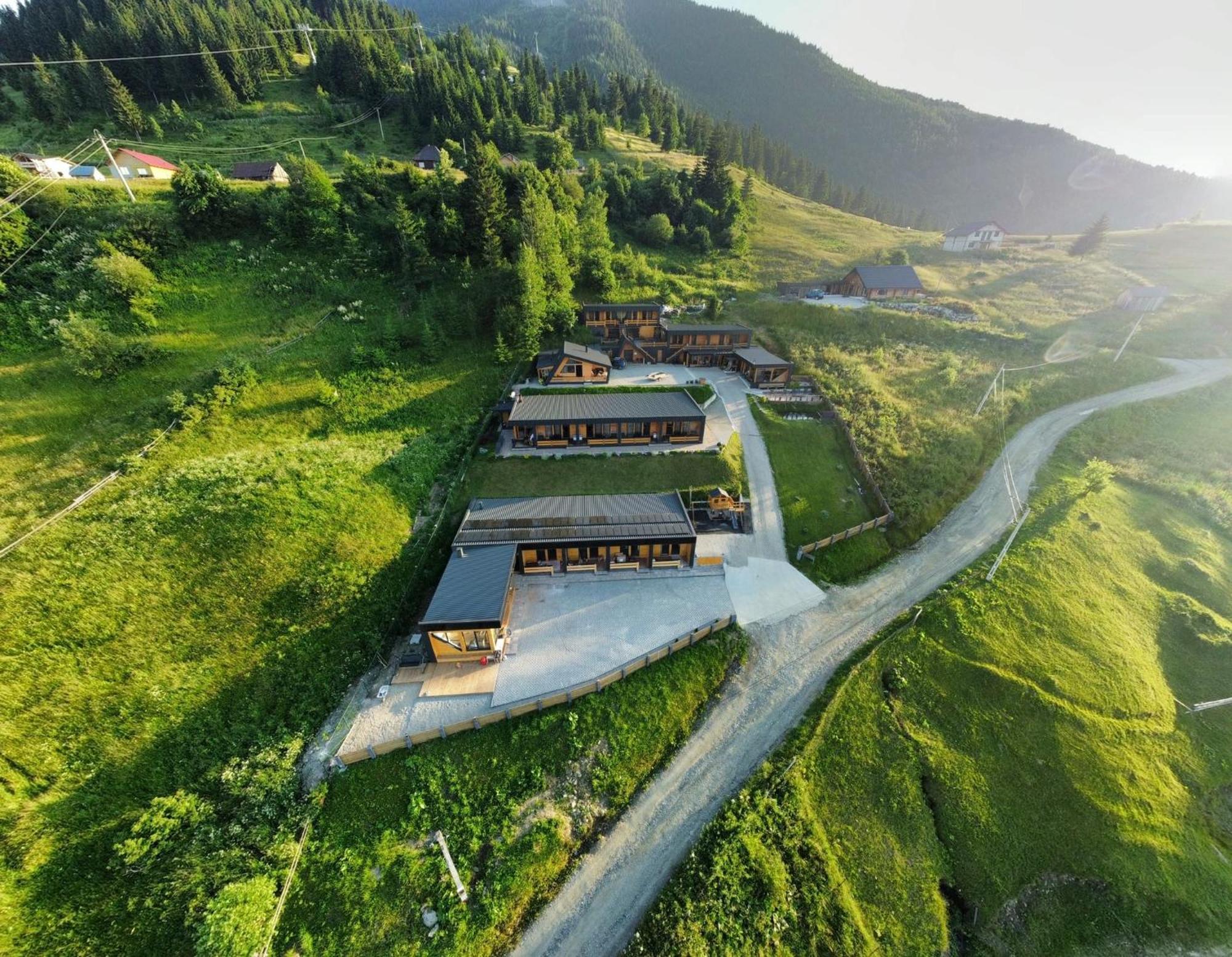 Panoramic Residence Borşa Екстериор снимка