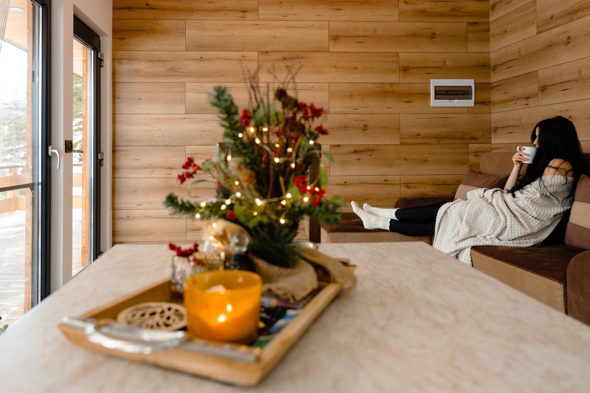 Panoramic Residence Borşa Екстериор снимка