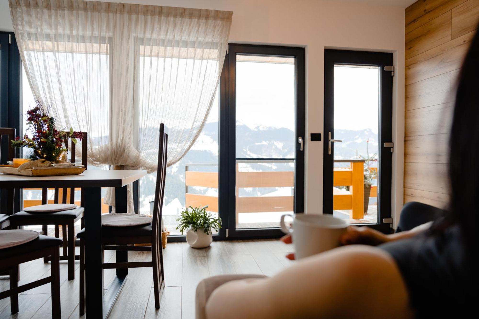 Panoramic Residence Borşa Екстериор снимка