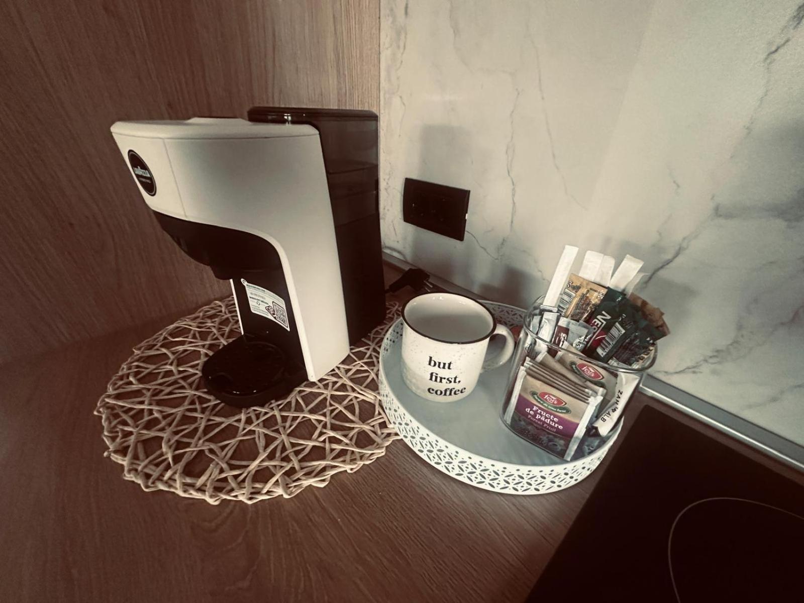 Panoramic Residence Borşa Екстериор снимка