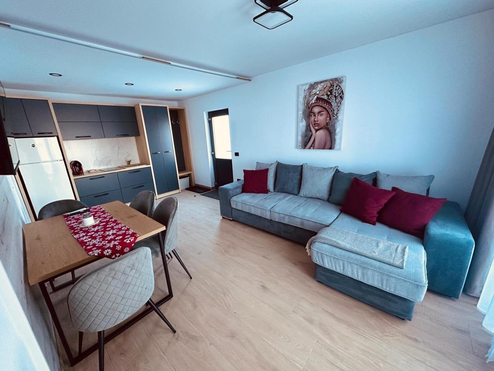 Panoramic Residence Borşa Екстериор снимка
