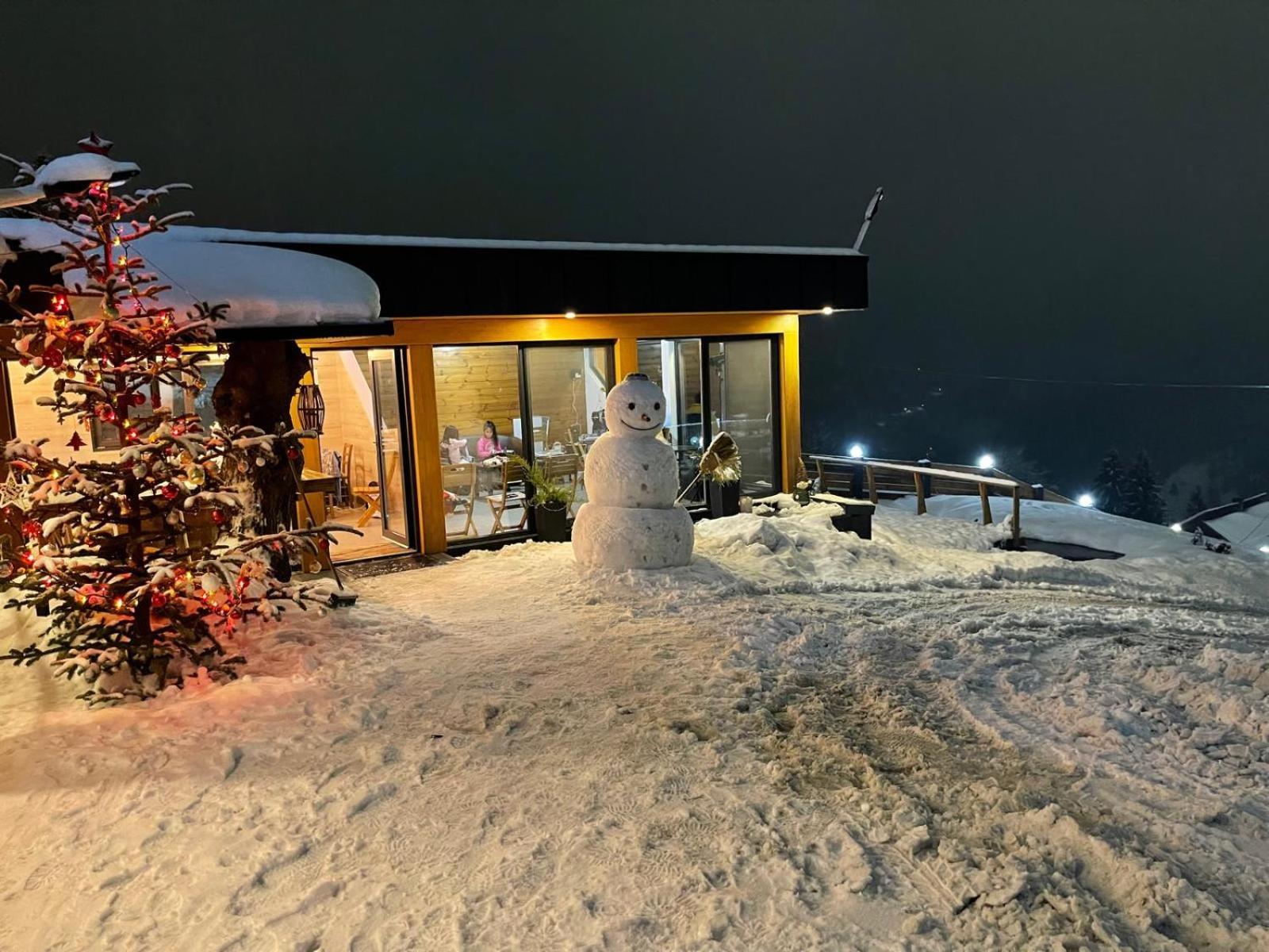 Panoramic Residence Borşa Екстериор снимка