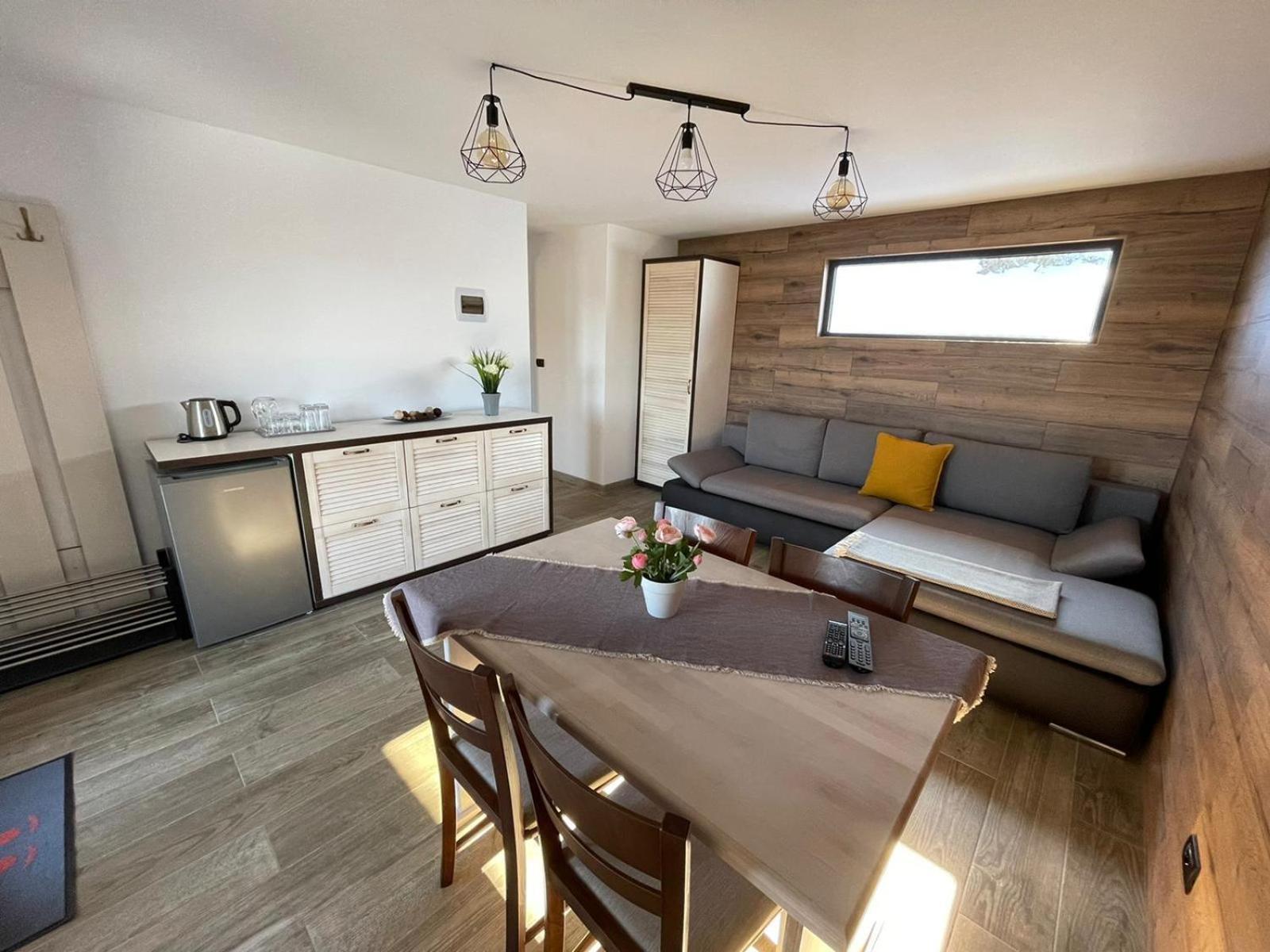 Panoramic Residence Borşa Екстериор снимка